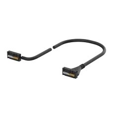 Autonics CH20-HP010-1R